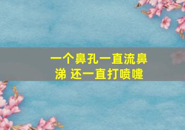 一个鼻孔一直流鼻涕 还一直打喷嚏